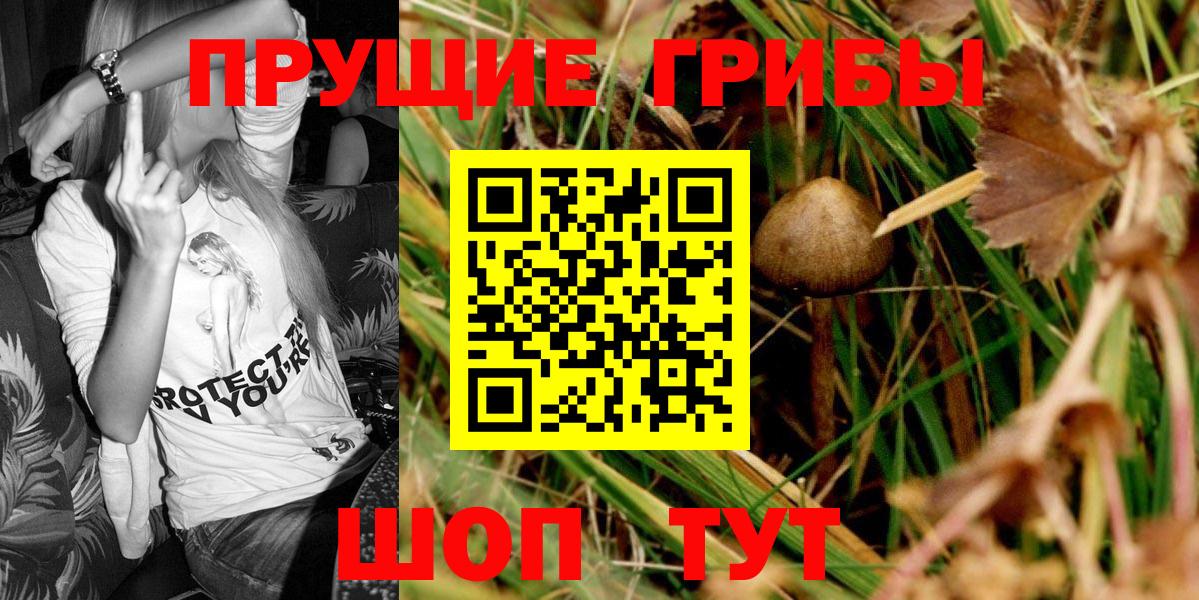 Псилоцибиновые грибы прущие грибы Чайковский