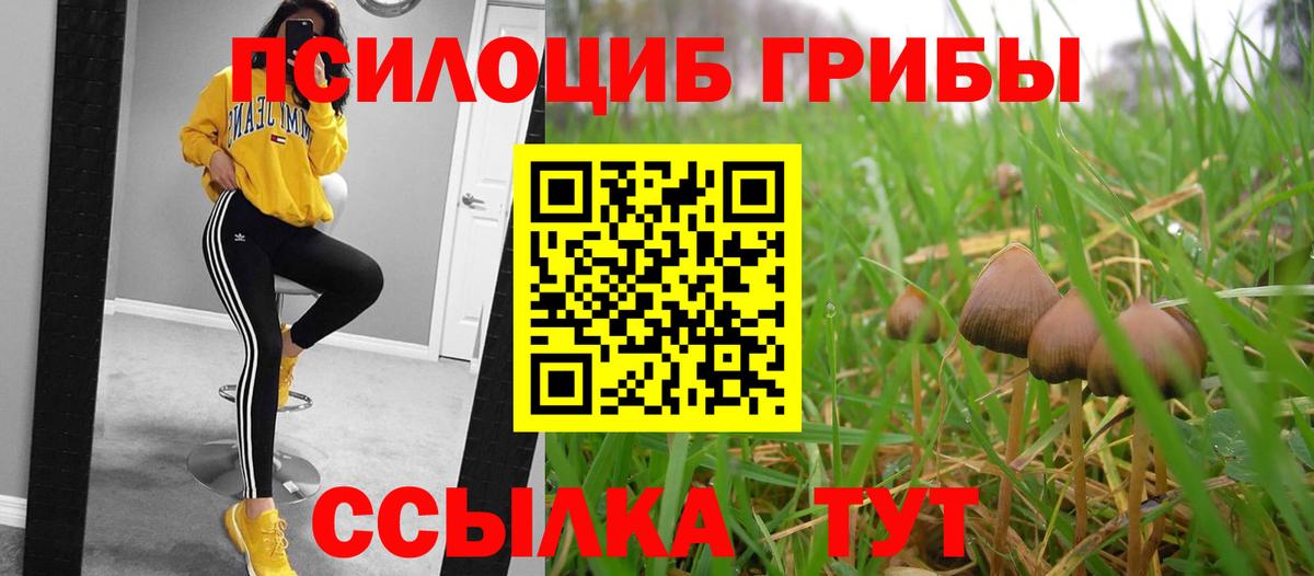 Галлюциногенные грибы Cubensis  Вход с VPN  Псилоцибиновые грибы мицелий  Чайковский 